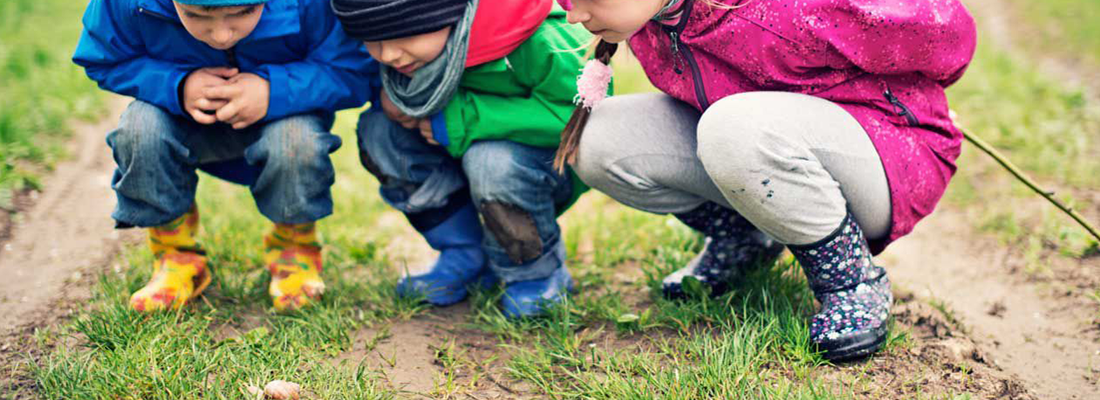 Ecologie ou interactions