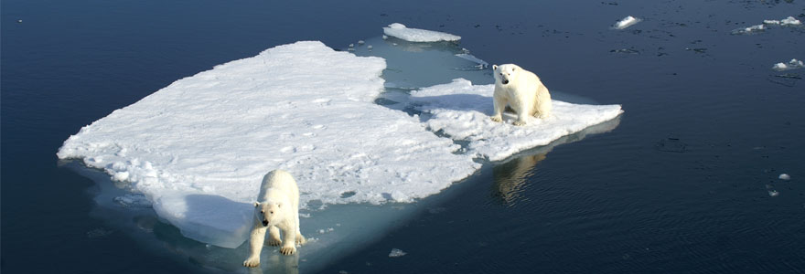 Réchauffement climatique